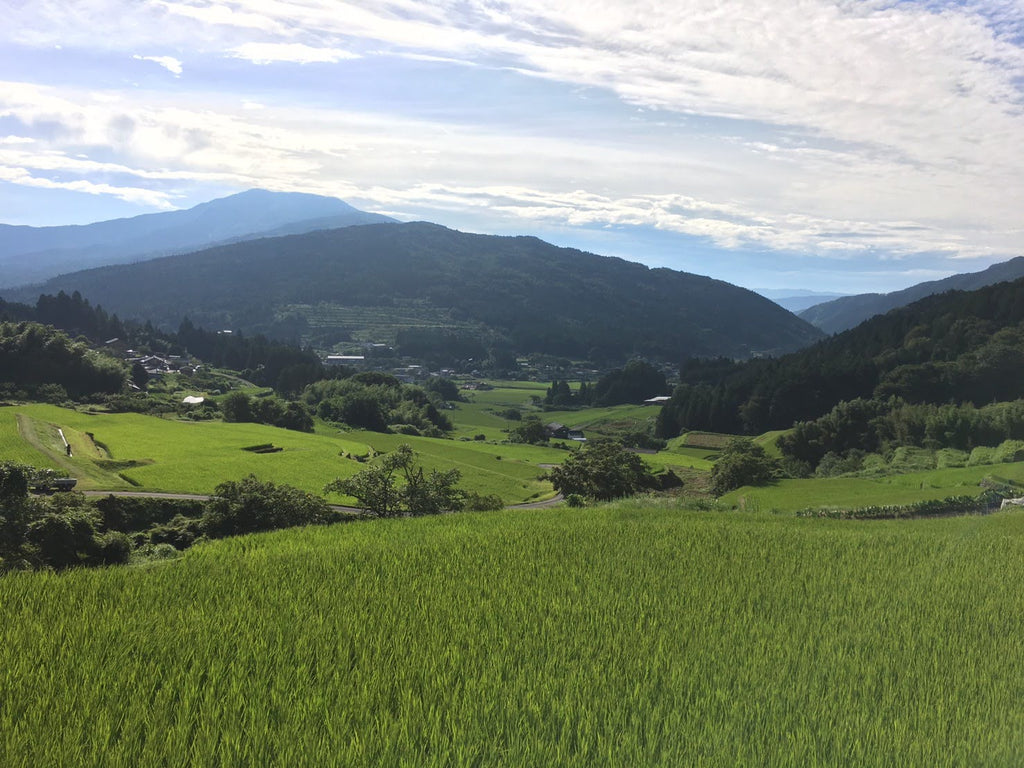 夏期休暇のご案内